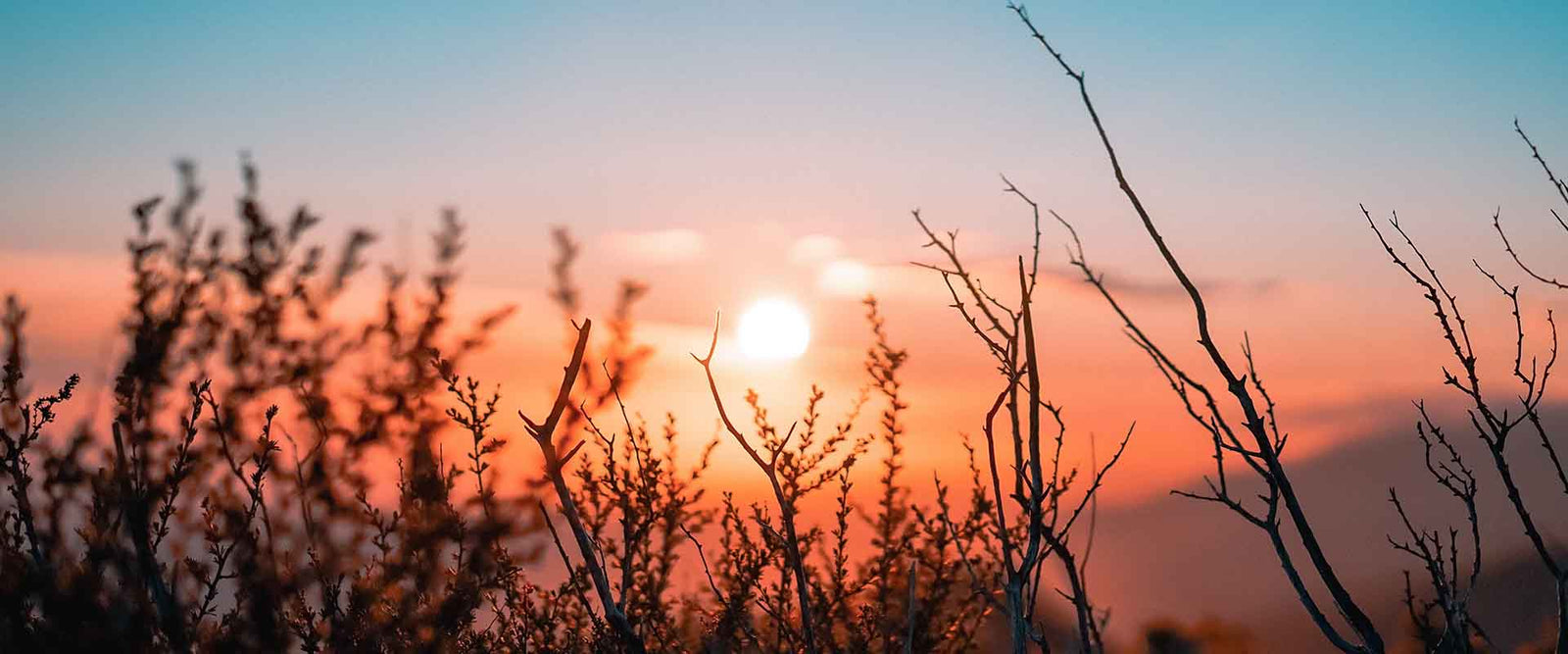 Lider du av D-vitaminbrist?