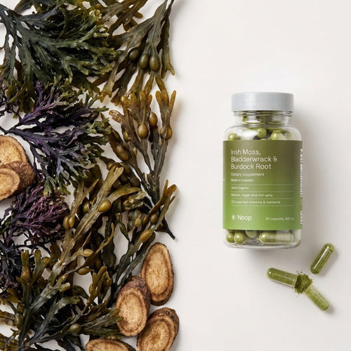 Irish moss, Bladderwrack & Burdock Root Noop
